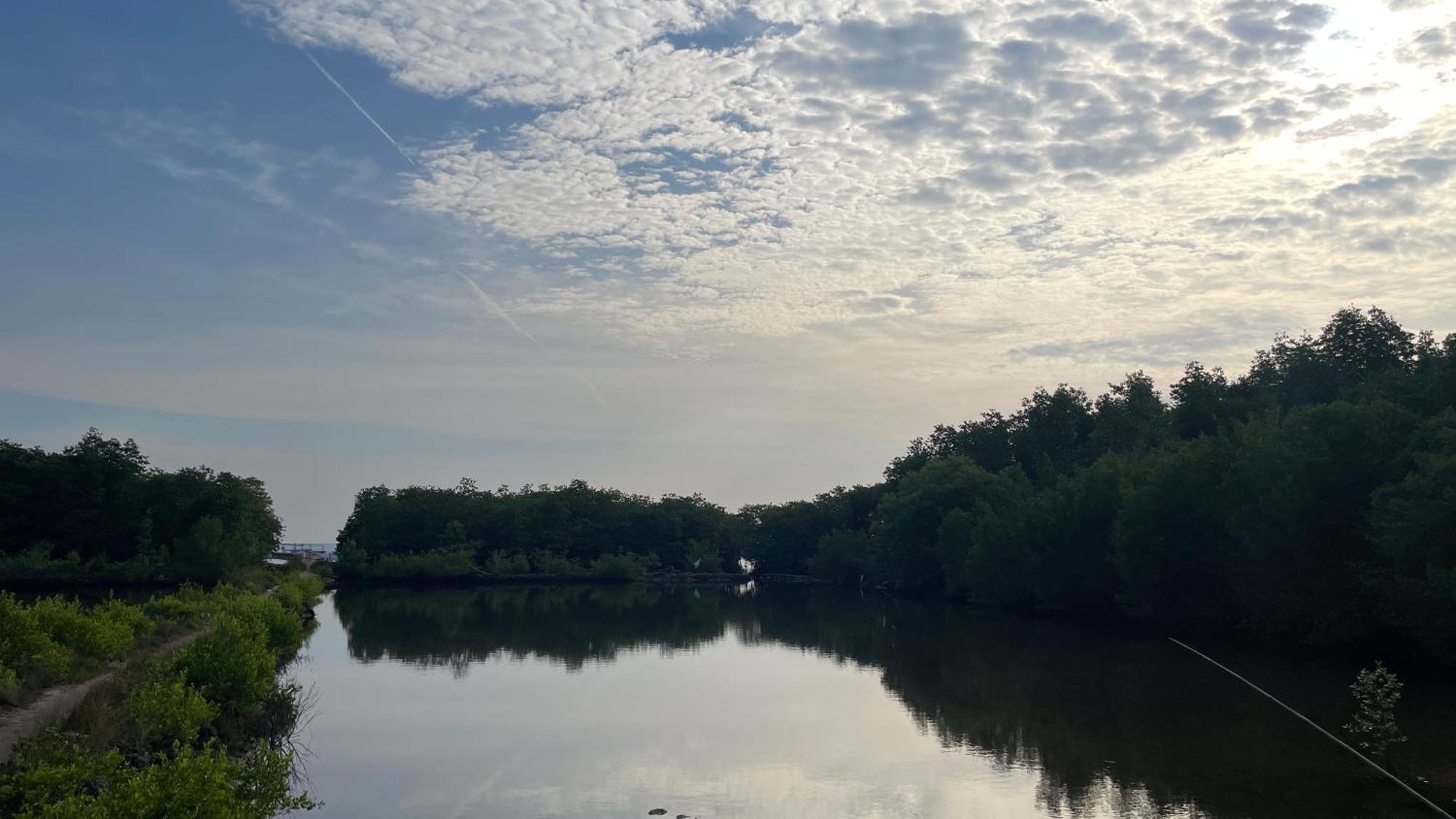 Mangrove Inn Карімунджава Екстер'єр фото