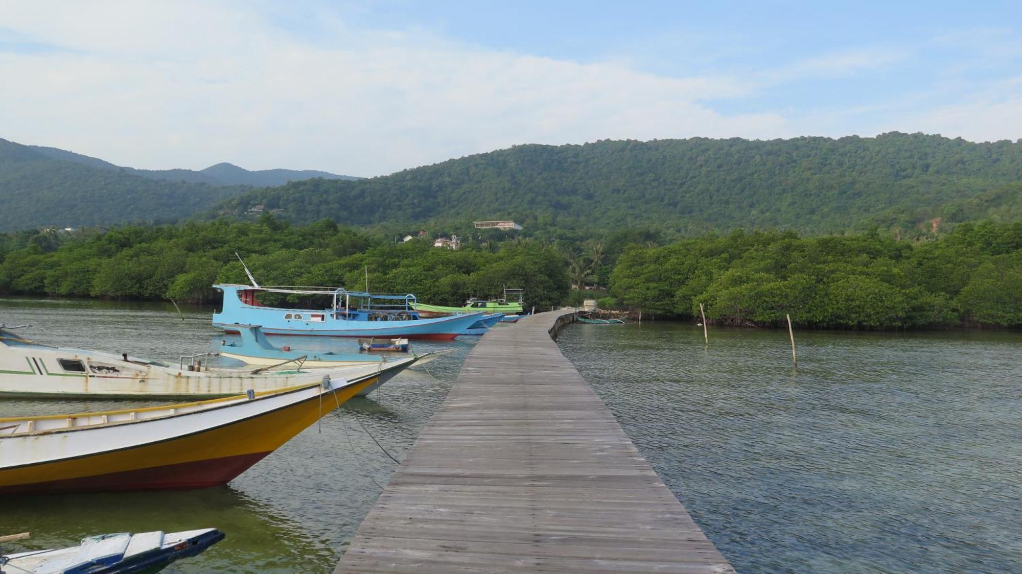 Mangrove Inn Карімунджава Екстер'єр фото