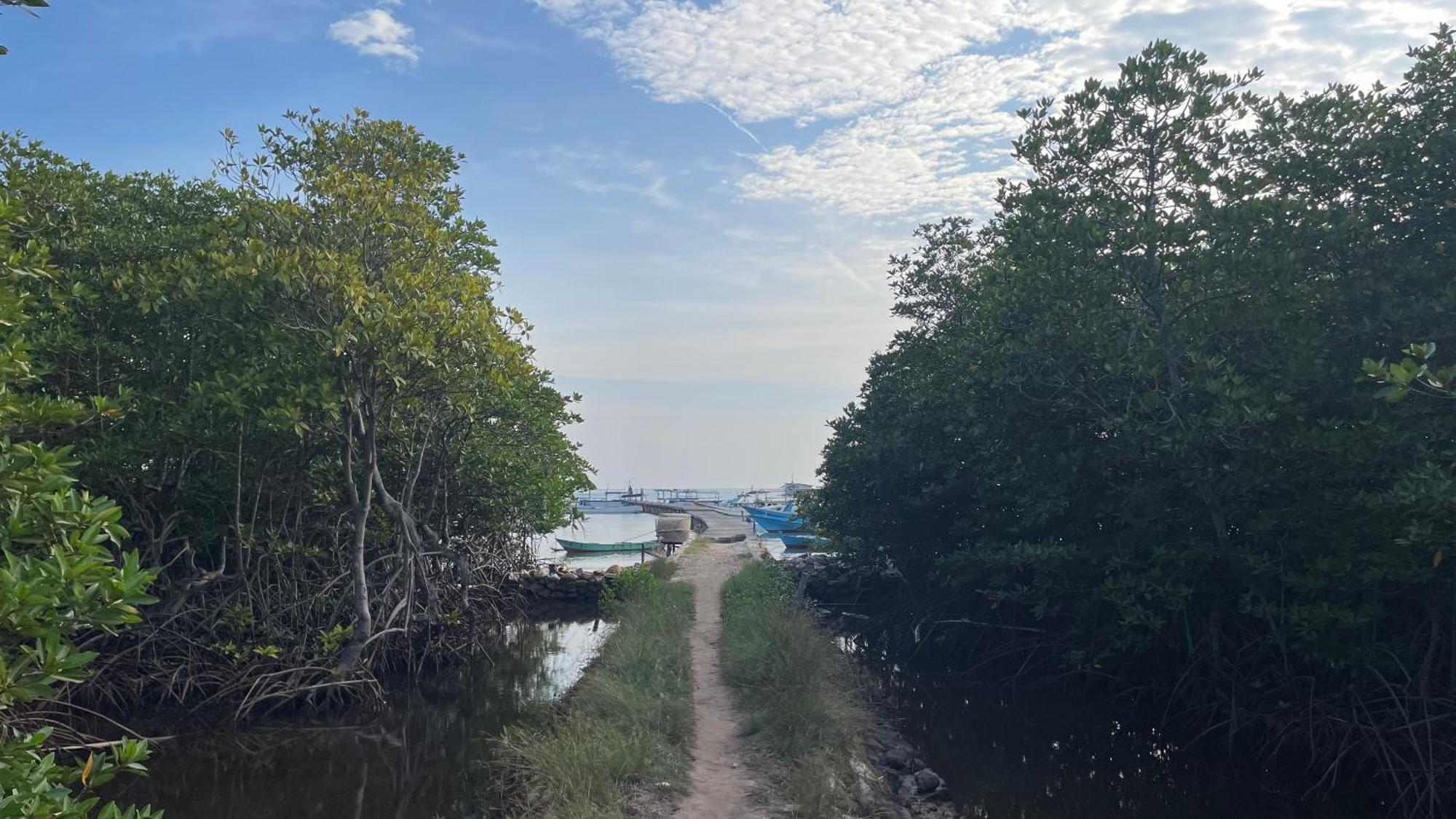 Mangrove Inn Карімунджава Екстер'єр фото