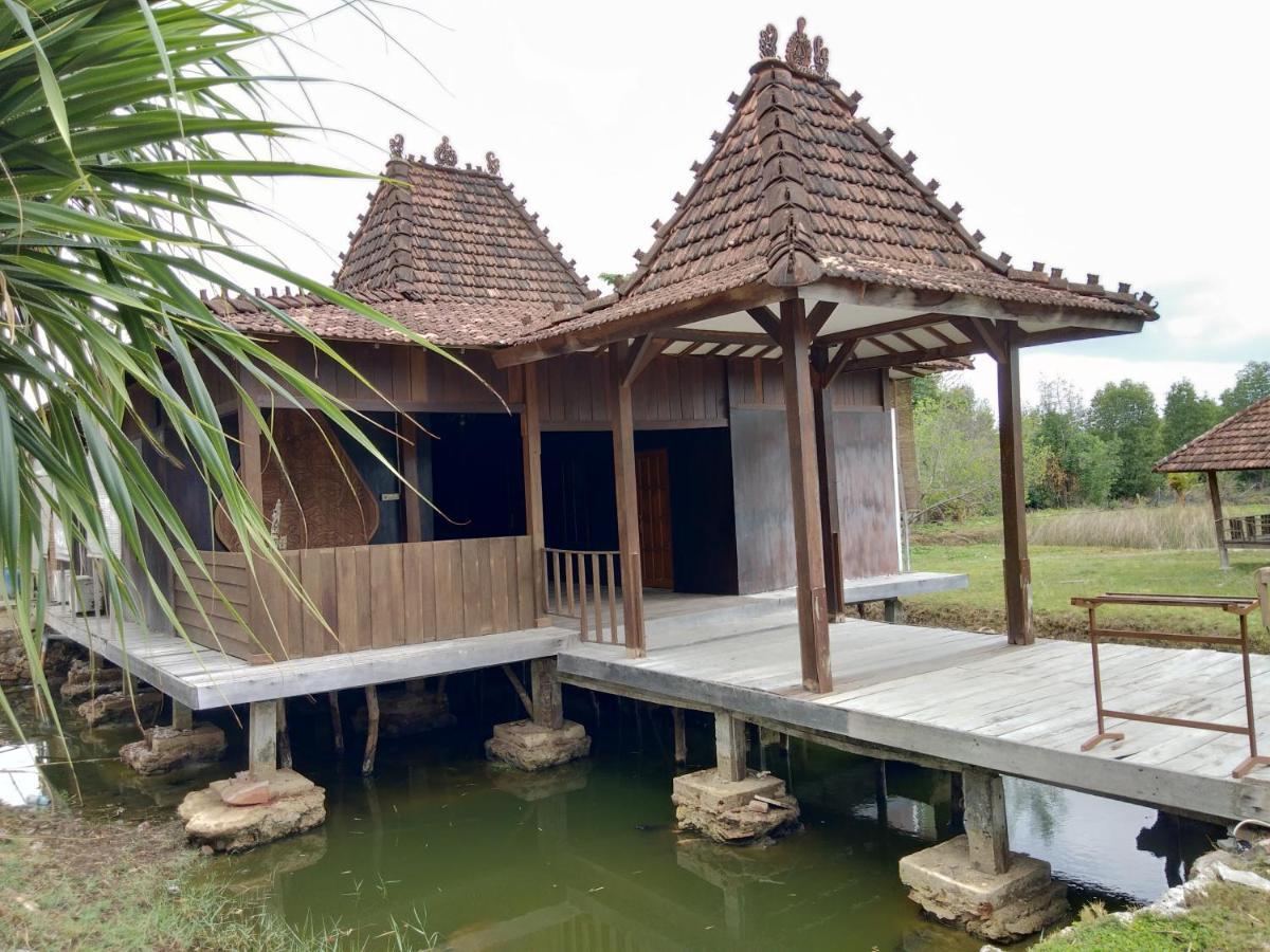 Mangrove Inn Карімунджава Екстер'єр фото